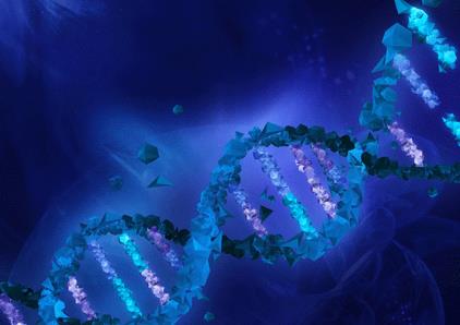 nmn副作用，nmn抗衰老的副作用是什么，业内人士总结的很到位休闲区蓝鸢梦想 - Www.slyday.coM