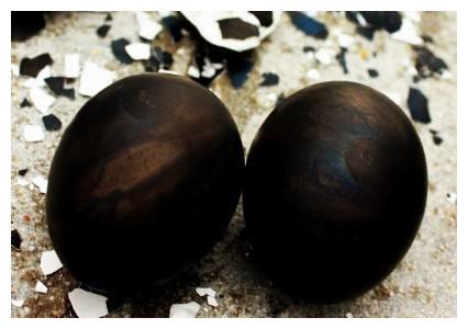 普通白鸡蛋放进日本大涌谷温泉,浸泡几分钟后取出变成黑色鸡蛋而得名