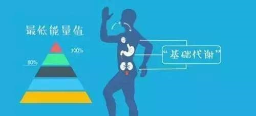 屡次节食减肥,没有效果?提高人体基础代谢,才是高效减脂的法宝休闲区蓝鸢梦想 - Www.slyday.coM 屡次节食减肥,没有效果?提高人体基础代谢,才是高效减脂的法宝休闲区蓝鸢梦想 - Www.slyday.coM