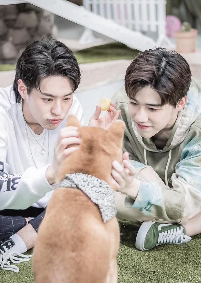 推荐泰剧·双男主·电视剧13部(第一弹)_高清图集_新浪网