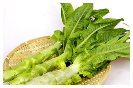 孕妇怀孕初期吃这几种食物对宝宝很好,千万别错过这些食物哦!休闲区蓝鸢梦想 - Www.slyday.coM 孕妇怀孕初期吃这几种食物对宝宝很好,千万别错过这些食物哦!休闲区蓝鸢梦想 - Www.slyday.coM