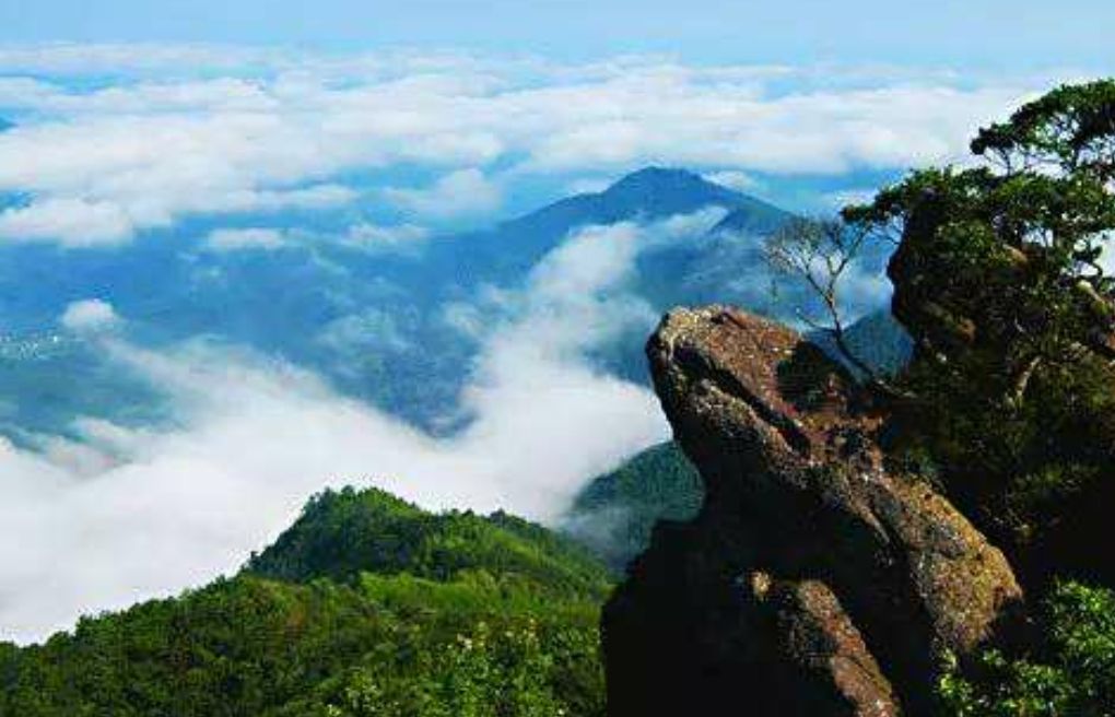 崇义县的阳岭,步入天然氧吧_高清图集_新浪网