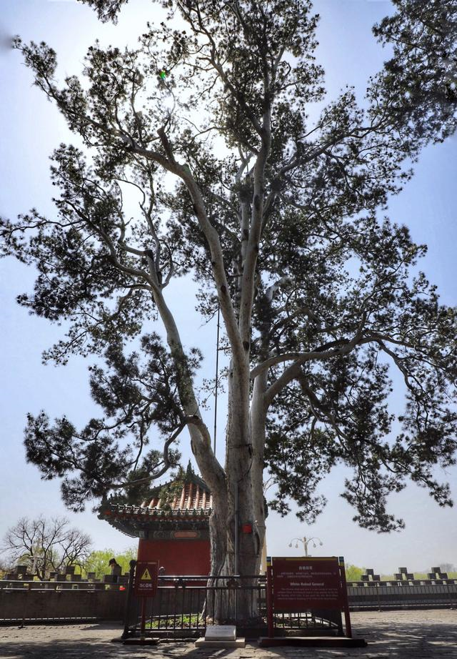 北京市中心藏有一座800年古城，门票仅1元，天天路过却没发现！休闲区蓝鸢梦想 - Www.slyday.coM