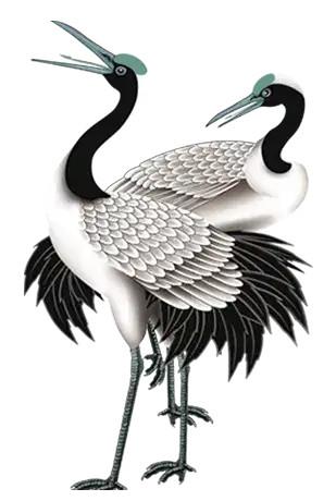 丹顶鹤图片～请欣赏