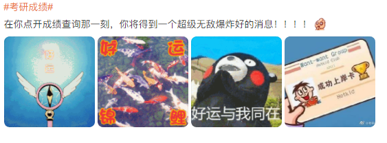 全国多地公布考研成绩 学霸已经开始秀高分了！休闲区蓝鸢梦想 - Www.slyday.coM