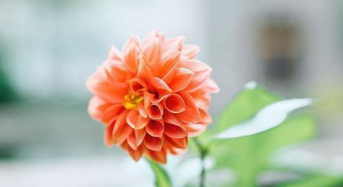 虽然行动力不足，可是这几个星座，聪明睿智，有独特观点休闲区蓝鸢梦想 - Www.slyday.coM