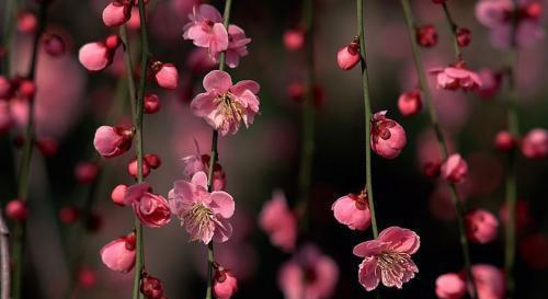 虽然行动力不足，可是这几个星座，聪明睿智，有独特观点休闲区蓝鸢梦想 - Www.slyday.coM