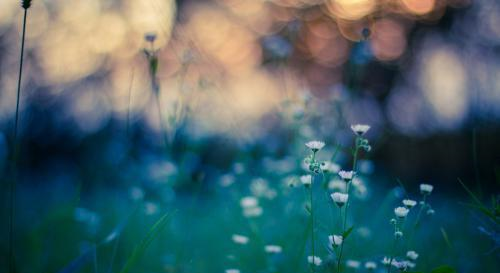 虽然行动力不足，可是这几个星座，聪明睿智，有独特观点休闲区蓝鸢梦想 - Www.slyday.coM