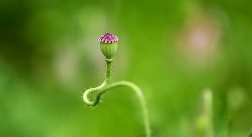 仪态万千,从容不迫的星座,有贵气,在人群中闪闪发光休闲区蓝鸢梦想 - Www.slyday.coM 仪态万千,从容不迫的星座,有贵气,在人群中闪闪发光休闲区蓝鸢梦想 - Www.slyday.coM