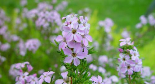 仪态万千,从容不迫的星座,有贵气,在人群中闪闪发光休闲区蓝鸢梦想 - Www.slyday.coM 仪态万千,从容不迫的星座,有贵气,在人群中闪闪发光休闲区蓝鸢梦想 - Www.slyday.coM