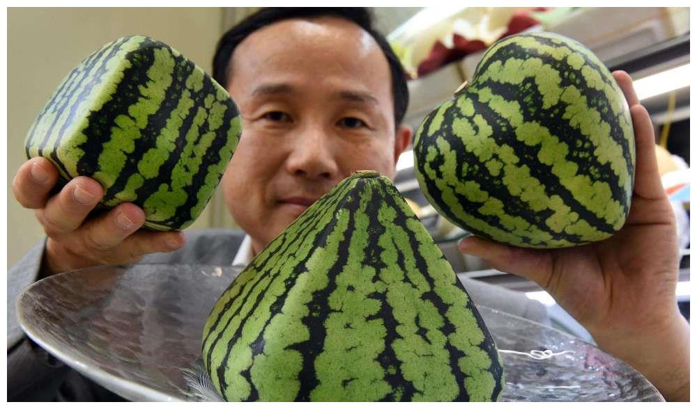 日本天价西瓜,中国土豪花几万元买了一个,切开后都傻眼了!
