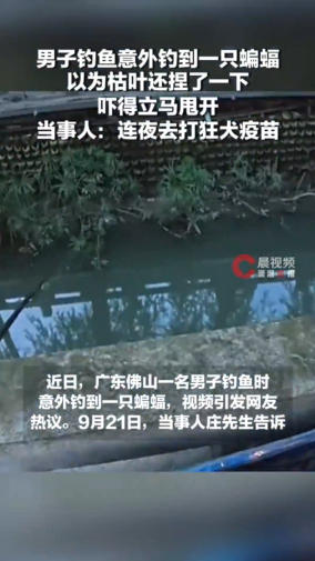 男子钓鱼意外钓到蝙蝠,以为枯叶还捏了一下……连夜去打狂犬疫苗 男子钓鱼意外钓到蝙蝠,以为枯叶还捏了一下……连夜去打狂犬疫苗