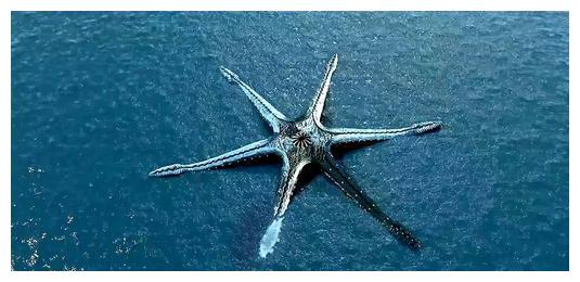 缅甸海星状怪兽是什么它在哪些地方出现为什么伤人