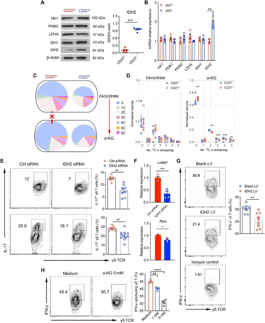 单细胞转录组测序上海交通大学医学院附属第九人民医院检验科