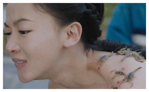 女星胆子有多大 吴谨言身上爬蝎子不算啥 她直接徒手抓蛇玩蜥蜴 吴谨言 蜥蜴 蝎子 新浪新闻