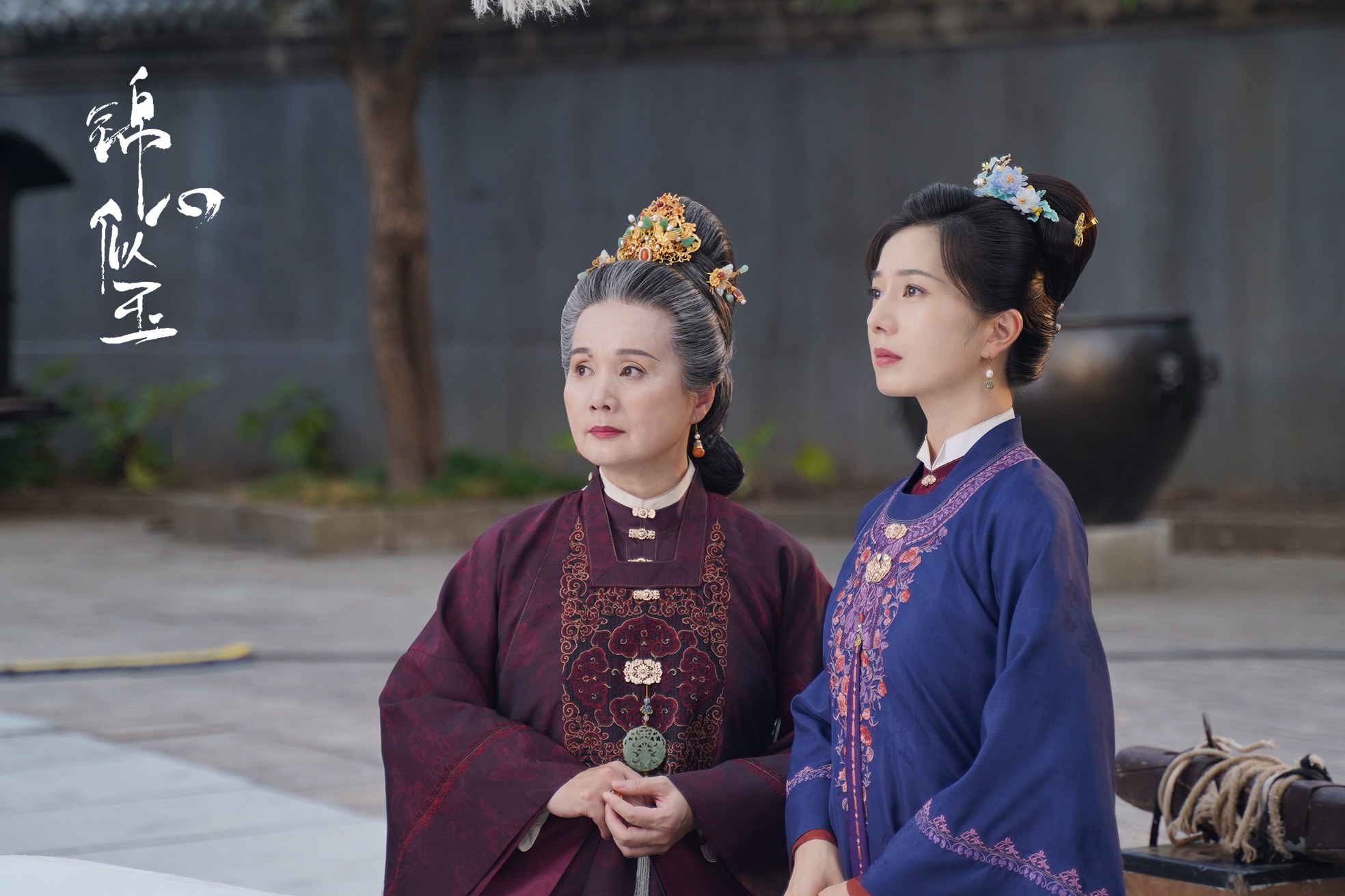 彭杨《锦心似玉》正在热播 演绎端庄大气"徐府二夫人"