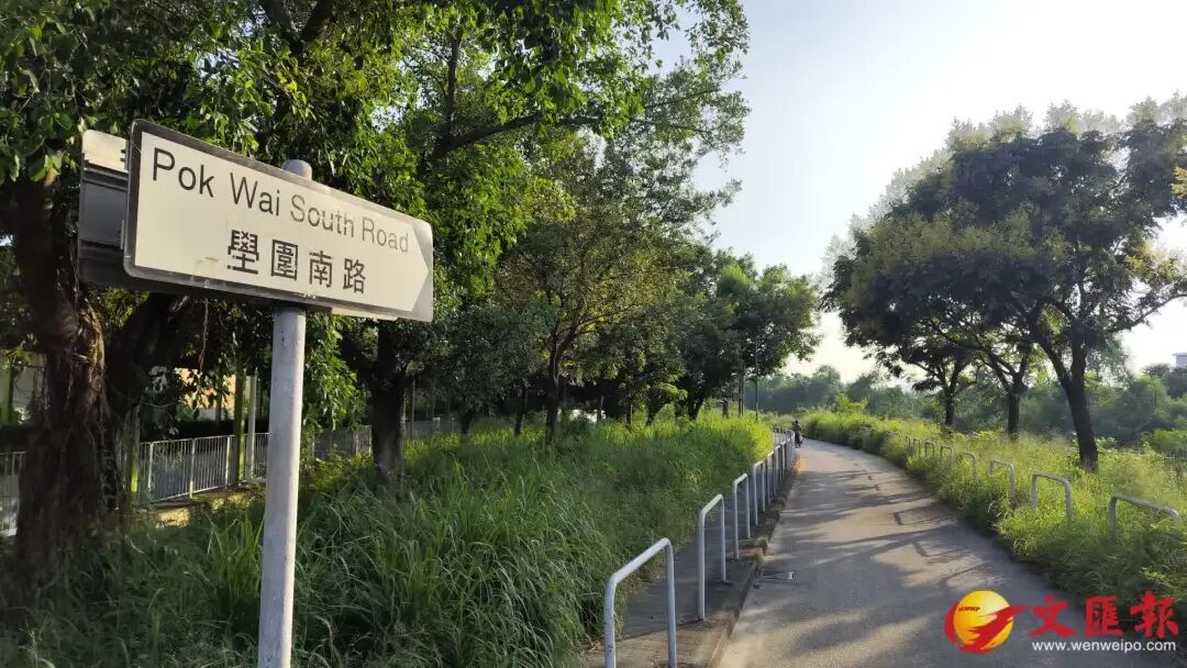 香港27岁女子浑身是血倒在人行道上!警方:已身亡,被3只狗追逐 香港27岁女子浑身是血倒在人行道上!警方:已身亡,被3只狗追逐