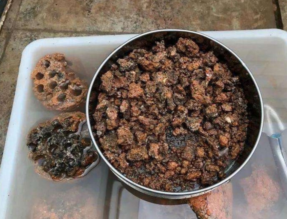 用煤渣养花一定要先简单处理一下不然花儿长不旺