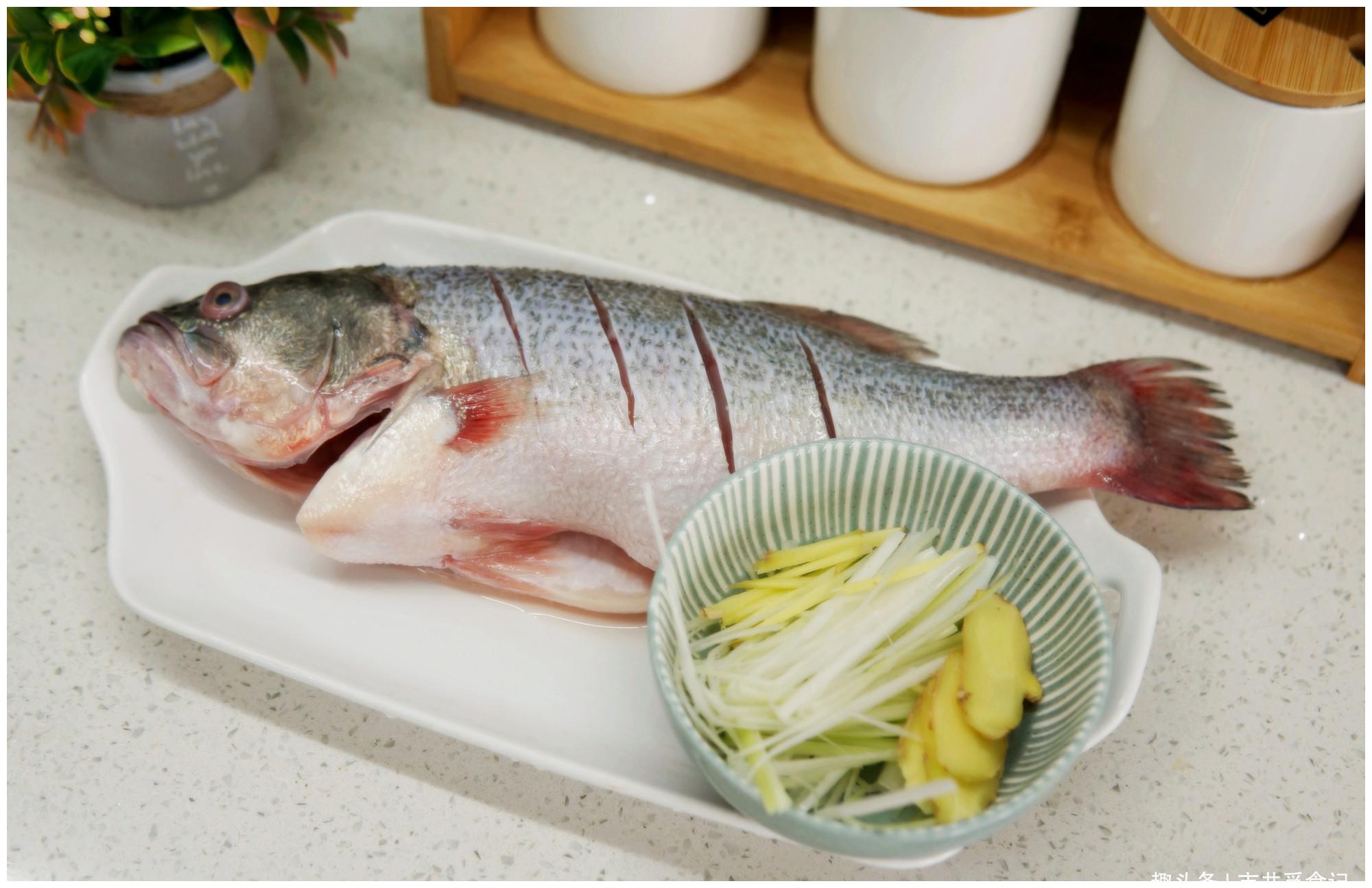 清蒸石斑鱼怎么做_清蒸石斑鱼的做法_艺朵儿五味家宴_豆果美食