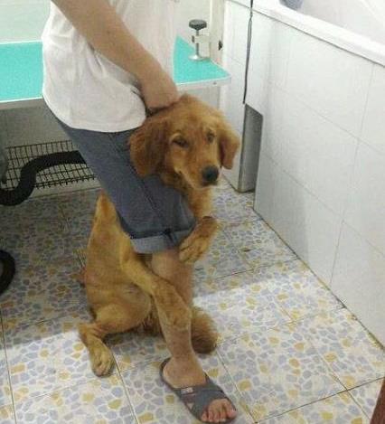 幽默笑话小子第一次到家就干家务以后还不得累死你