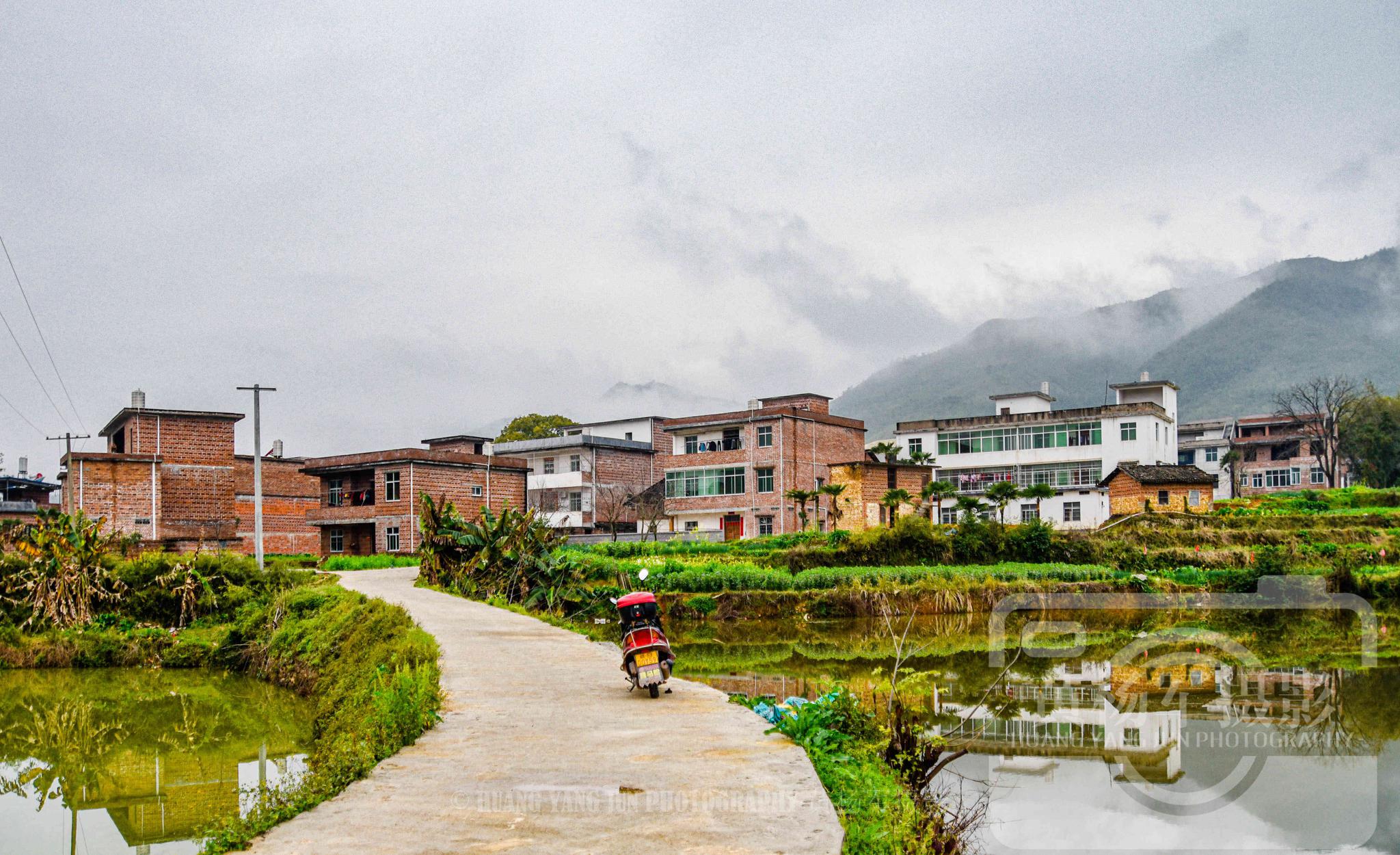 江西于都县杨梅村,春日里的赣州农村万物复苏的景象,美丽又熟悉
