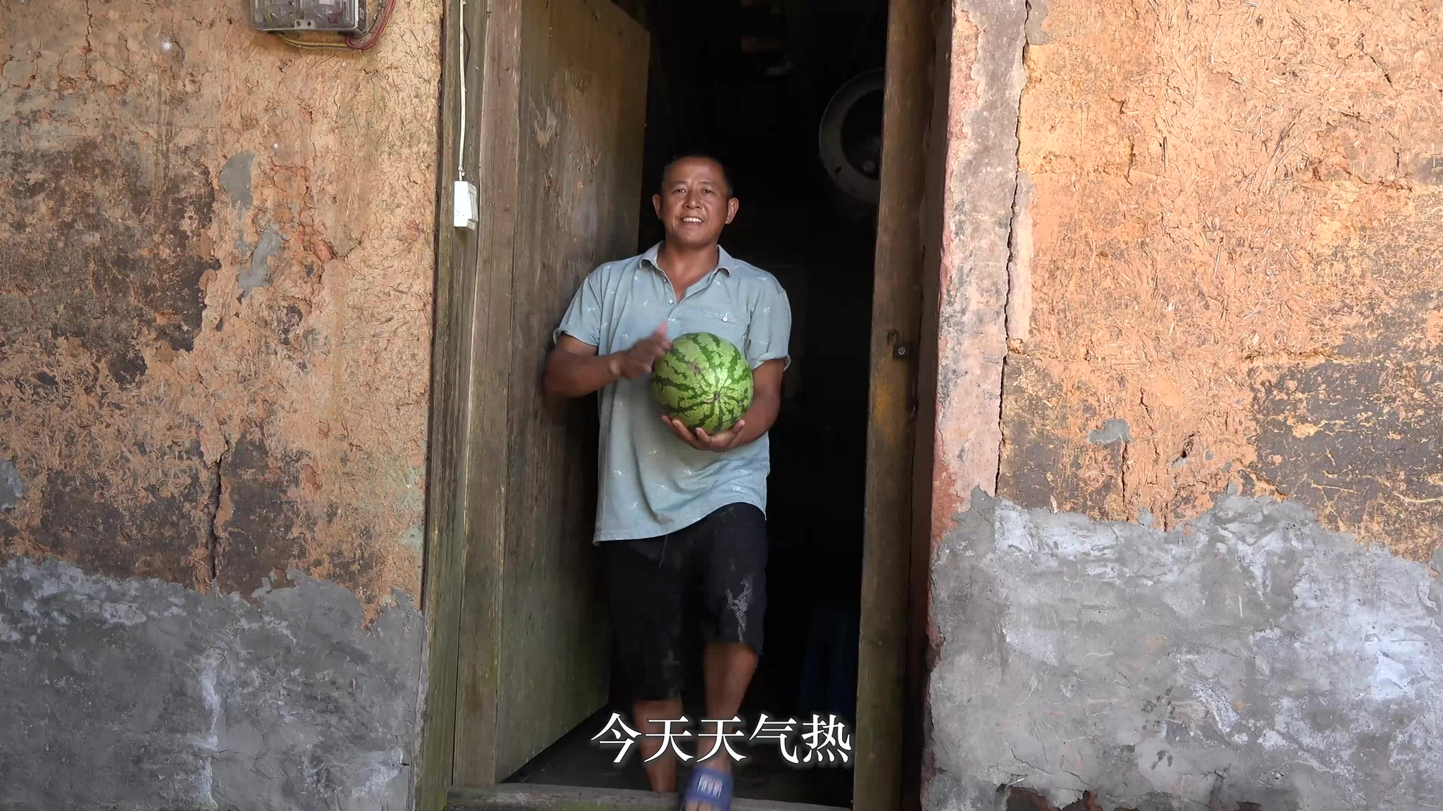 天热刘老九吃完西瓜后,松土淋菜,回家做一份青椒炒肉儿子超喜欢
