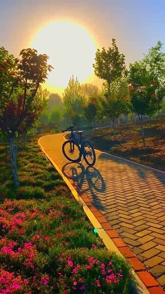 分享陈亦洺的经典歌曲《微风吹》,这首歌的旋律你一定熟悉_手机新浪网