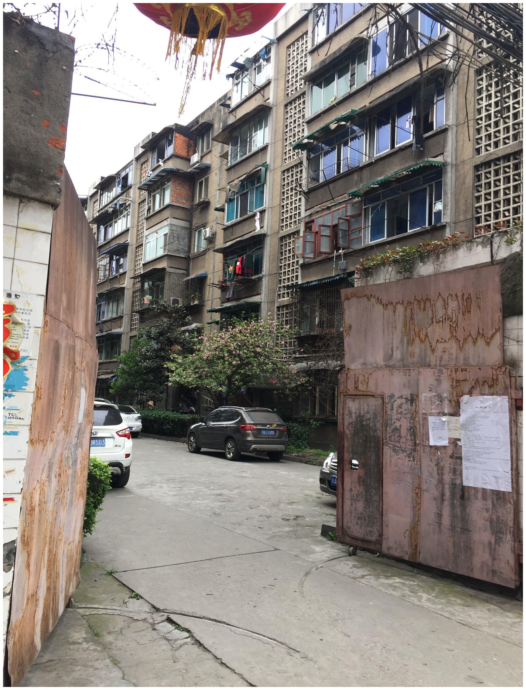 破旧的老小区也能出土豪金主要是财位旺财