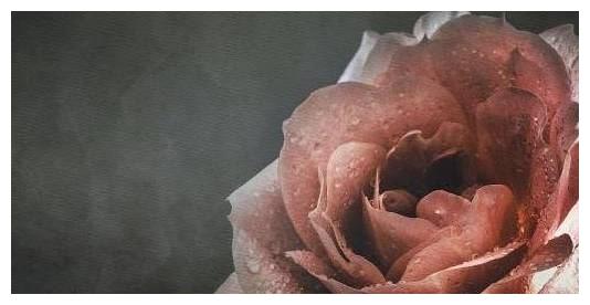 独立思考能力最强的三个星座，不轻易从别人嘴中去了解人或事休闲区蓝鸢梦想 - Www.slyday.coM