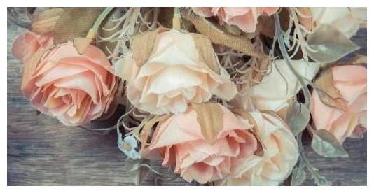 独立思考能力最强的三个星座，不轻易从别人嘴中去了解人或事休闲区蓝鸢梦想 - Www.slyday.coM