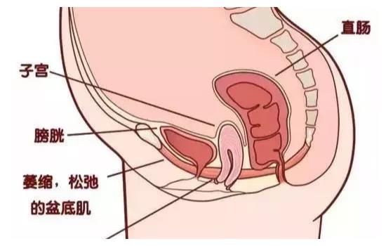 生完孩子多久可以用收腹带？想要产后恢复好，做好这4点不发愁