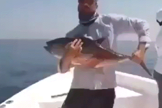 在女友的包里面找到了这样的药，请问是干什么用的啊？哈哈哈哈休闲区蓝鸢梦想 - Www.slyday.coM