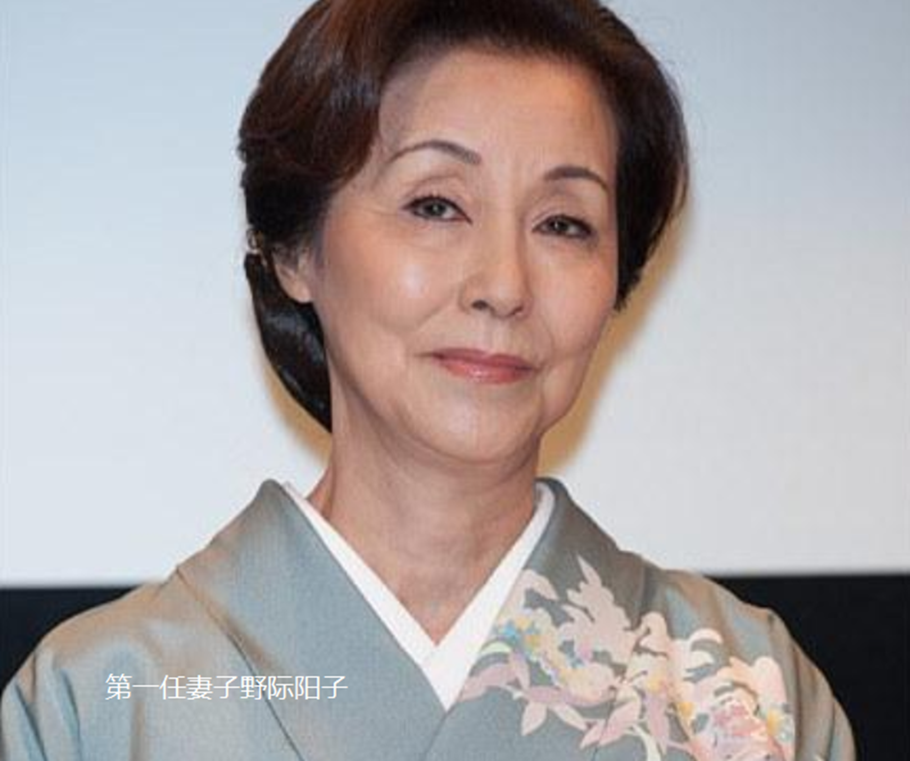 离婚后千叶真一再娶,但是野际阳子却一直没有再找.