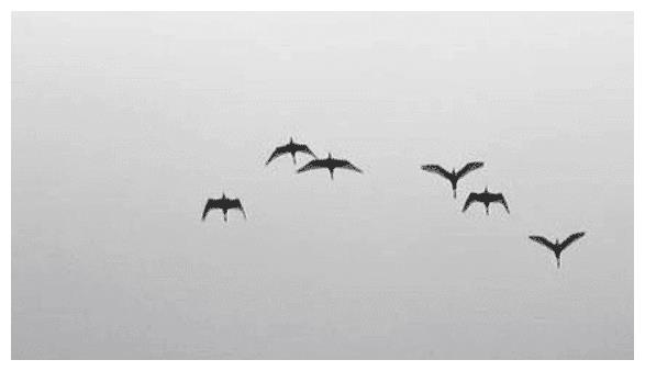 特别傲娇的三个星座，天生的玻璃心，对别人和自己都有很高要求休闲区蓝鸢梦想 - Www.slyday.coM