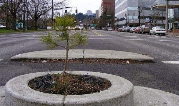 世上"最小"的公园,面积只有029平方米,游客仍旧络绎不绝