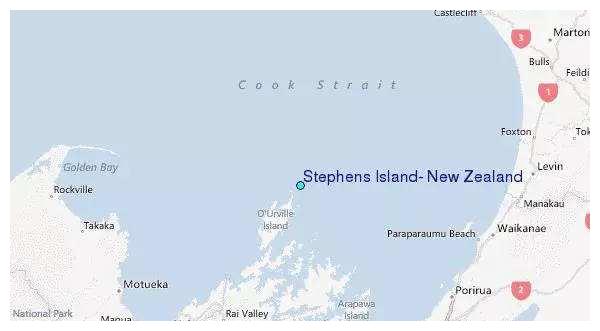 离奇的动物灭绝事件 斯蒂芬岛异鹩被一只猫灭绝 斯蒂芬 鹩 灭绝 新浪新闻 离奇的动物灭绝事件 斯蒂芬岛异鹩被一只猫灭绝 斯蒂芬 鹩 灭绝 新浪新闻