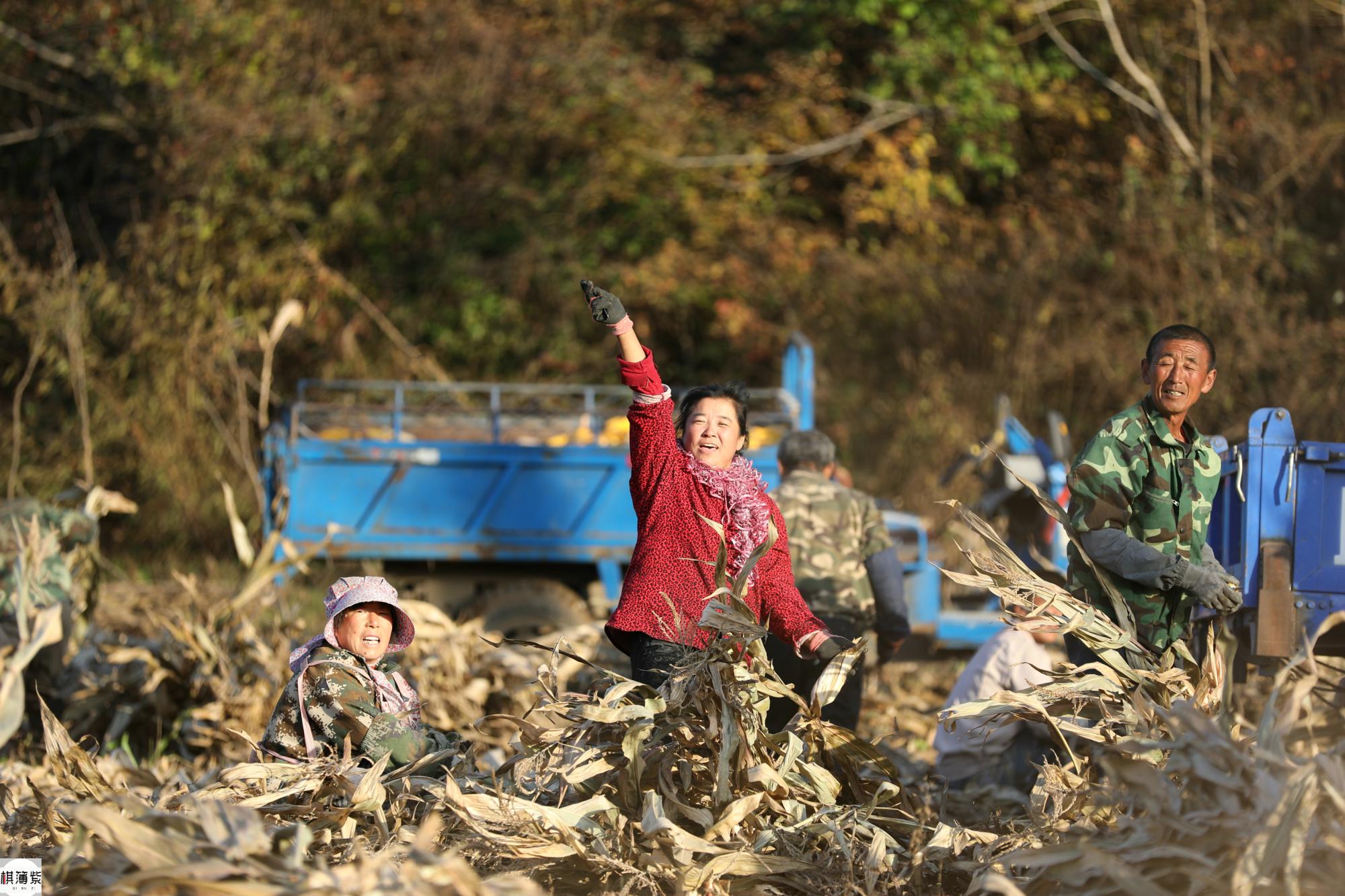 高清图集_新浪网