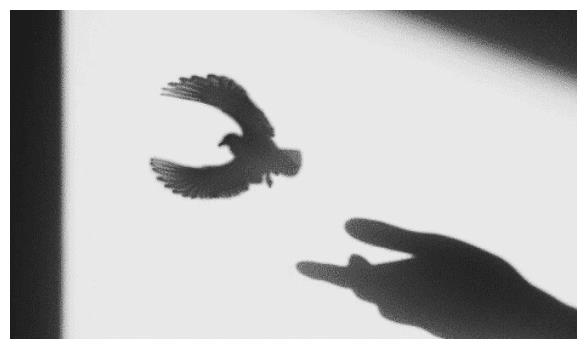 特别傲娇的三个星座，天生的玻璃心，对别人和自己都有很高要求休闲区蓝鸢梦想 - Www.slyday.coM