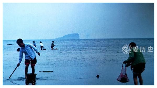 八十年代大连人的海滩记忆：老虎滩上谈恋爱 星海公园捡海货