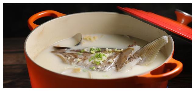 奶香鱼汤材料:半颗红甘鱼头,100cc鲜奶油,500cc柴鱼汤,80克蒜蓉,100cc