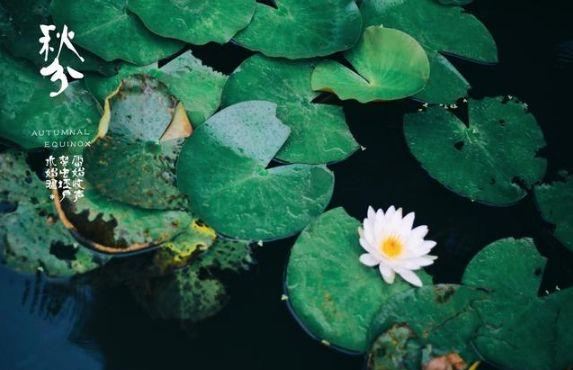 weather是什么意思（weather是什么意思英语）-85模板网