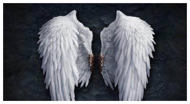 十二星座专属梦幻翅膀水瓶座冰蓝羽翼双鱼座美的移不开眼