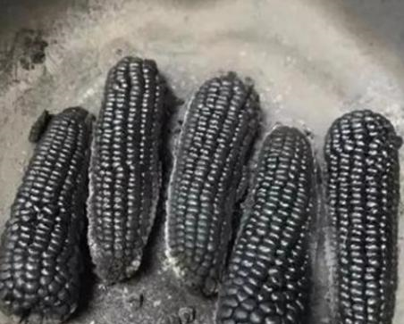 有个不会做饭的女友啥体验?红薯变煤炭,看到蛋糕:这是盘丝洞?休闲区蓝鸢梦想 - Www.slyday.coM 有个不会做饭的女友啥体验?红薯变煤炭,看到蛋糕:这是盘丝洞?休闲区蓝鸢梦想 - Www.slyday.coM