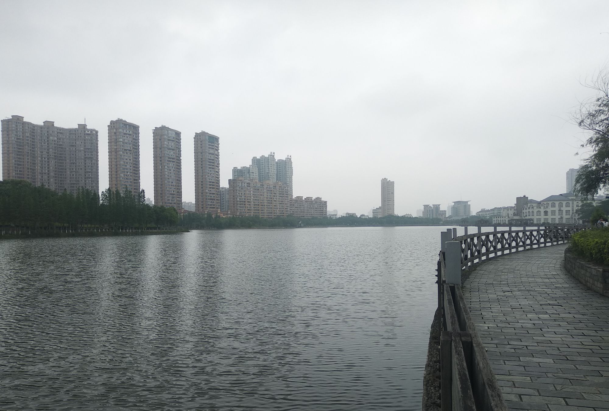 新余市北湖公园2020年初夏景象