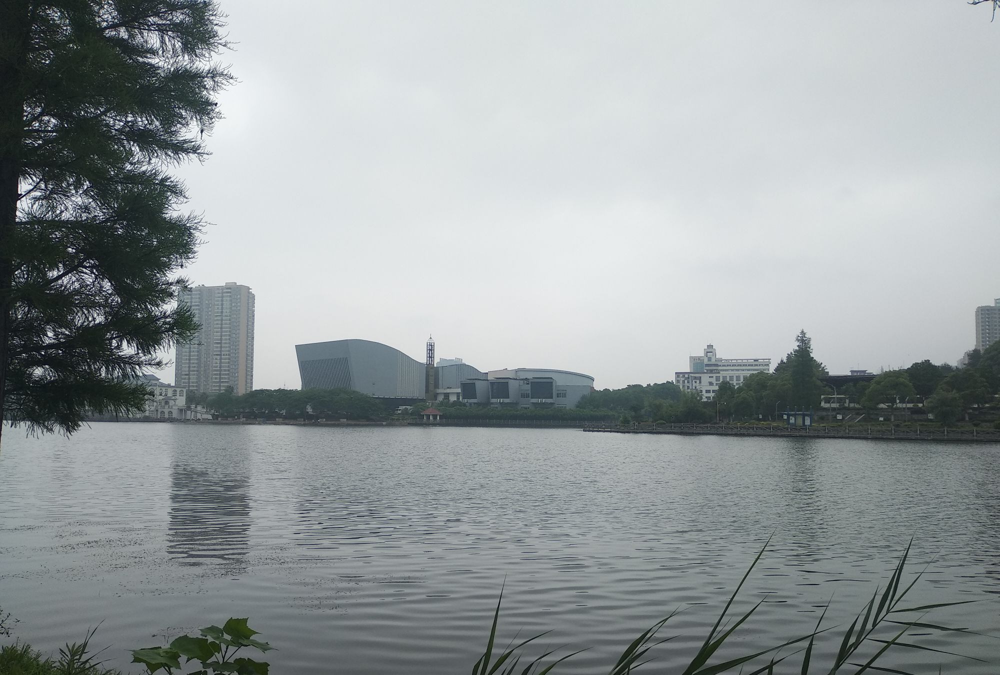 新余市北湖公园2020年初夏景象