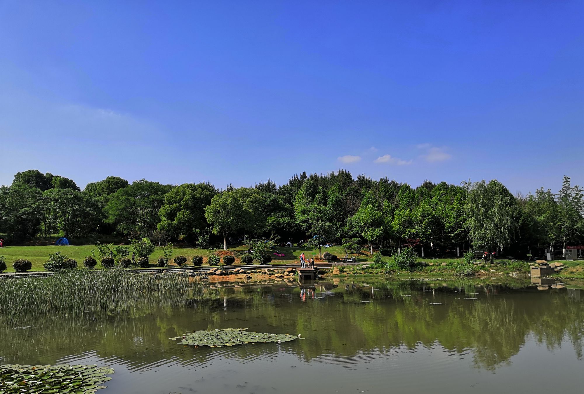 武汉藏龙岛国家湿地公园