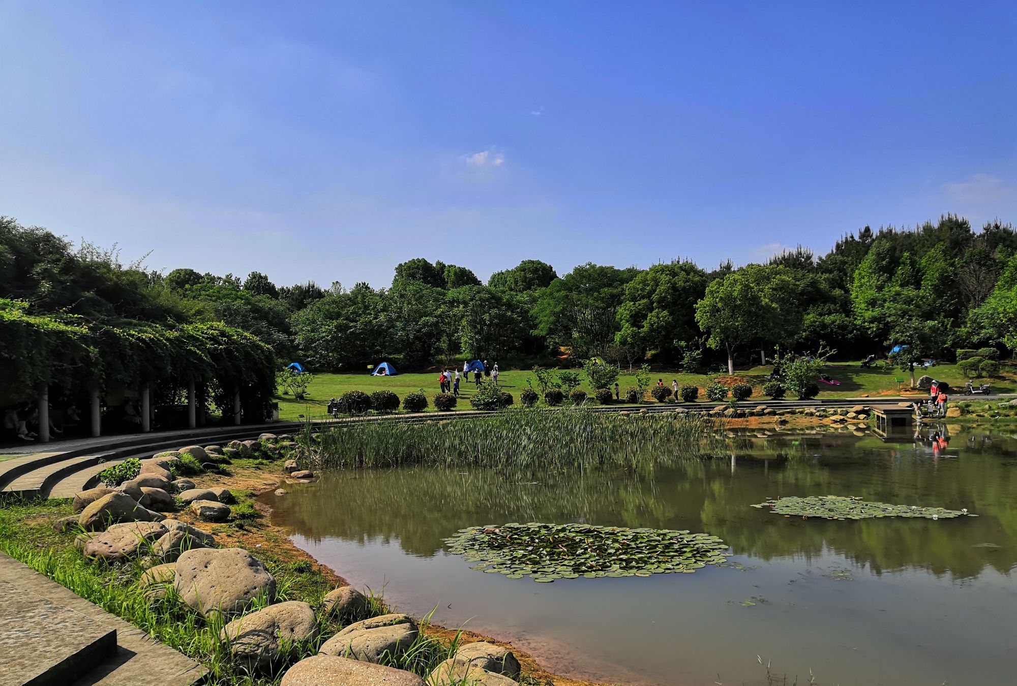 武汉藏龙岛国家湿地公园