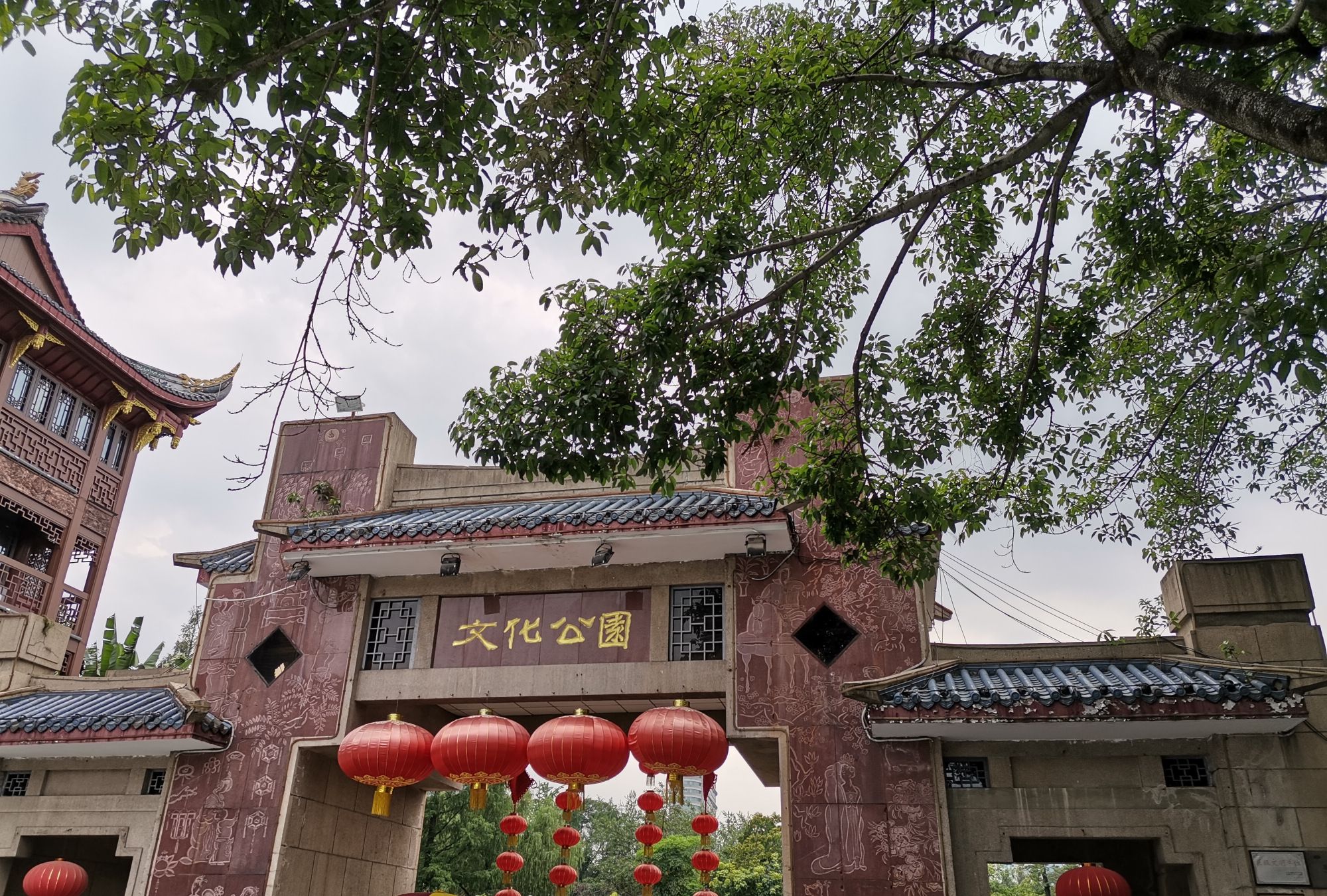 成都文化公园,赏荷花正当时