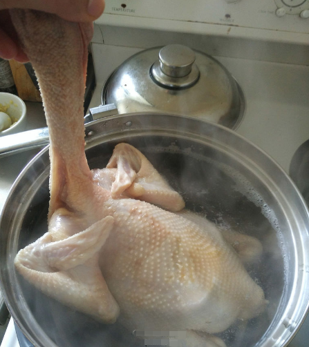 做白切鸡，不能直接下锅，大厨教你正确做法，保证鲜嫩多汁沒腥味休闲区蓝鸢梦想 - Www.slyday.coM