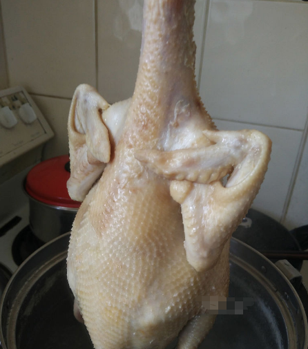 做白切鸡，不能直接下锅，大厨教你正确做法，保证鲜嫩多汁沒腥味休闲区蓝鸢梦想 - Www.slyday.coM